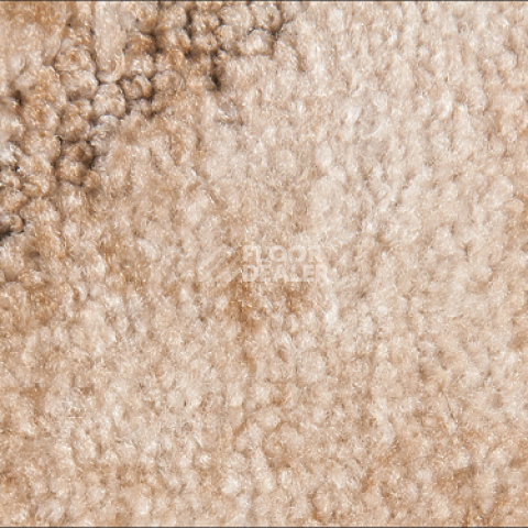 Ковролин Associated Weavers Tango 30 фото 1 | FLOORDEALER